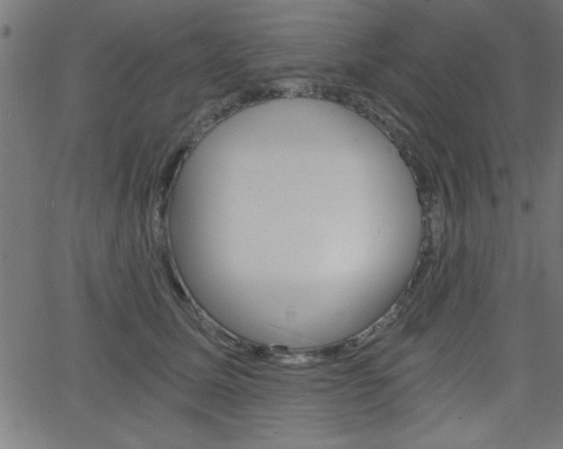 X0000068750611200604280928