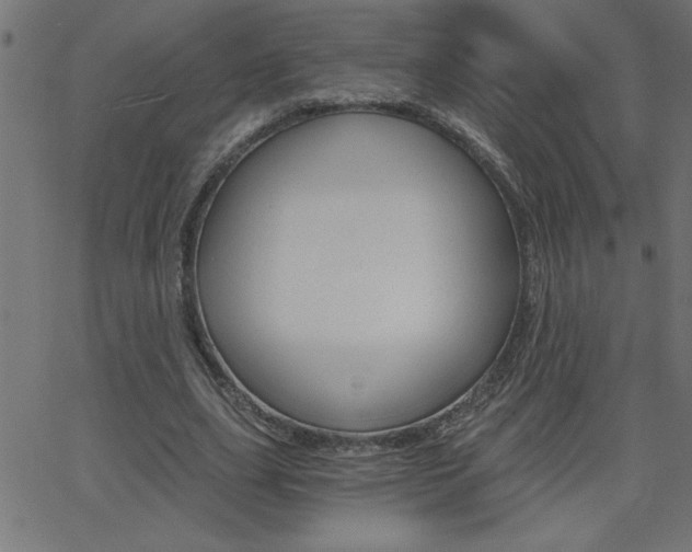 X0000068750631200604280927