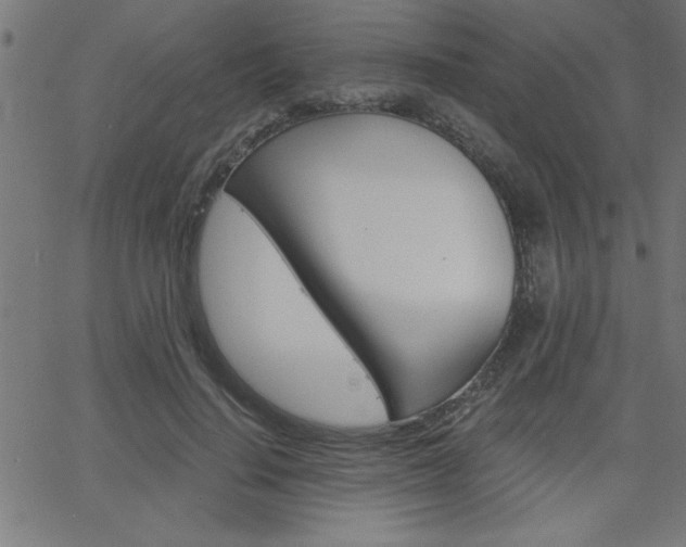 X0000068750644200604280928