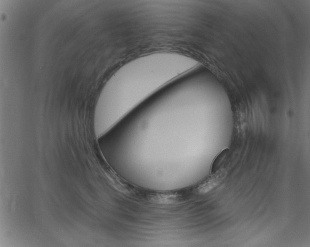 X0000068750664200604280928