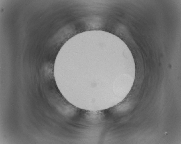 X0000068750672200604280928