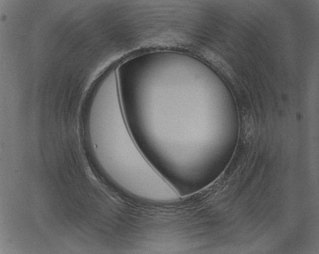 X0000068750680200604280927