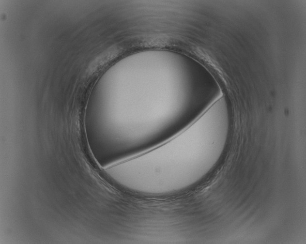 X0000068750681200604280927