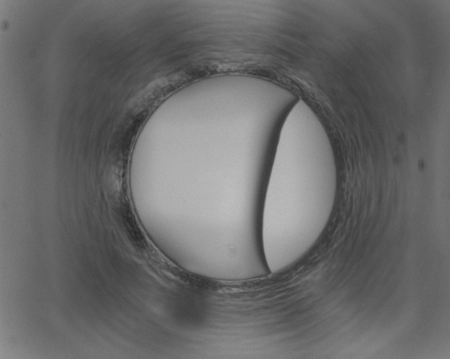 X0000068750691200604280927
