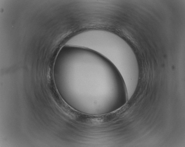 X0000068750692200604280927