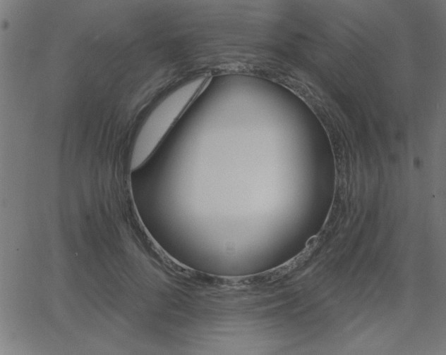 X0000068750696200604280927