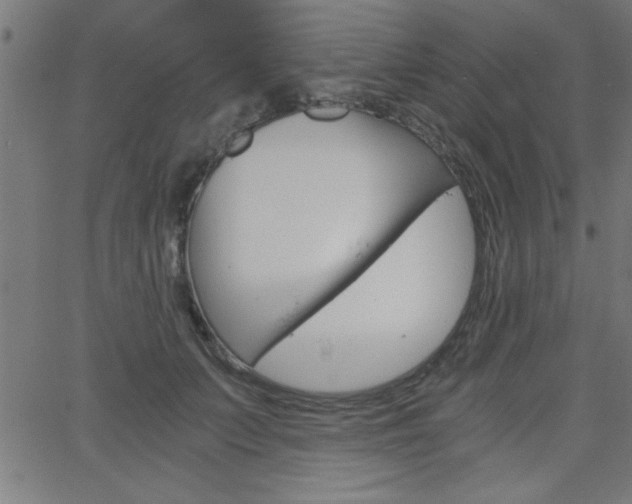 X0000068750703200604280927