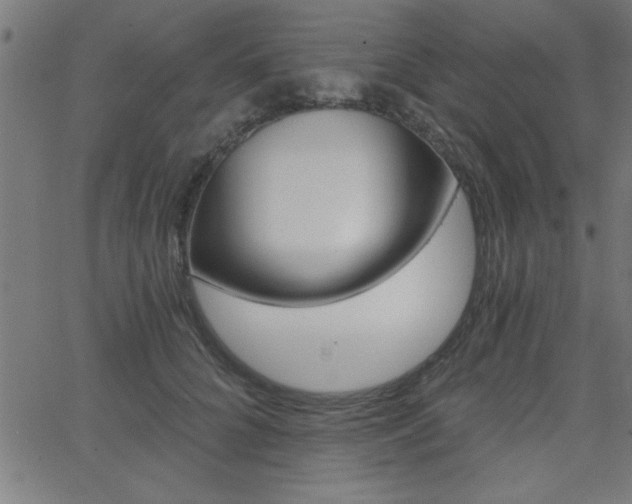 X0000068750704200604280927