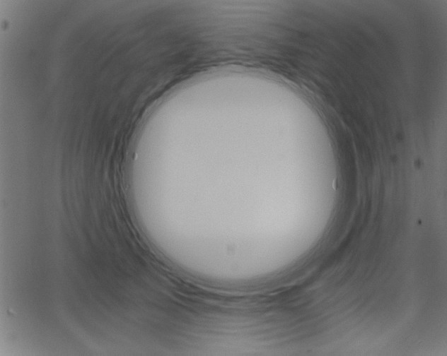X0000068750705200604280927