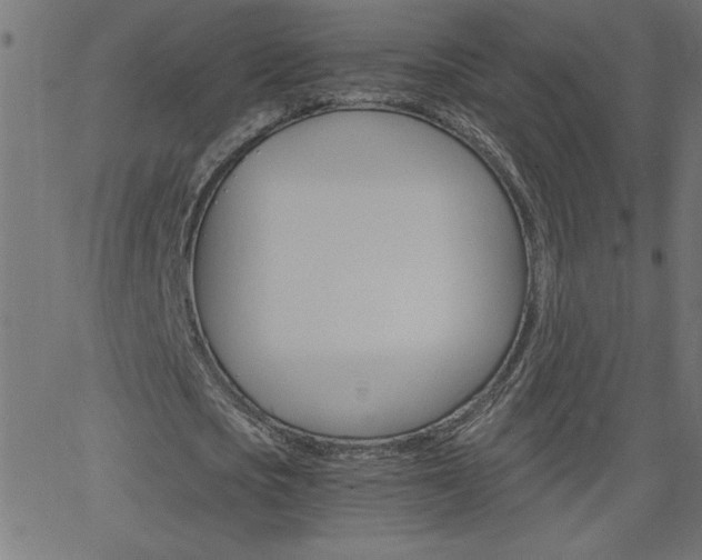 X0000068750721200604280926