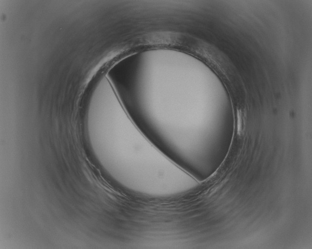 X0000068750723200604280926