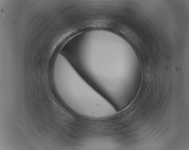 X0000068750727200604280926