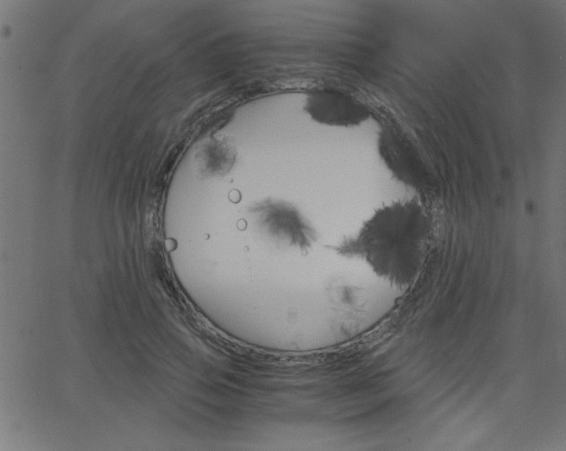 X0000068750741200604280926