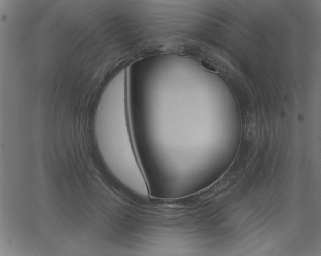 X0000068750748200604280926