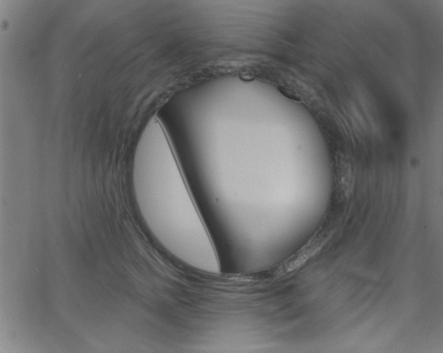 X0000068750758200604280926