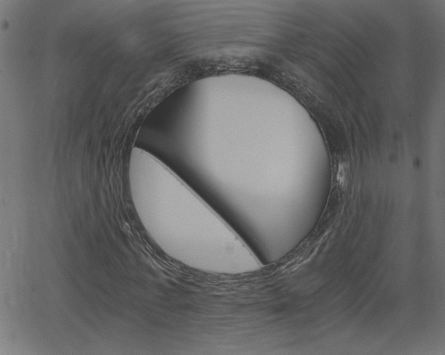 X0000068750771200604280926