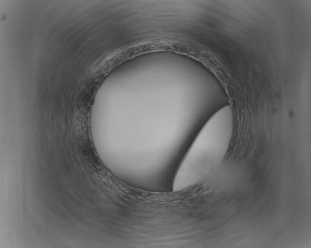 X0000068750773200604280926