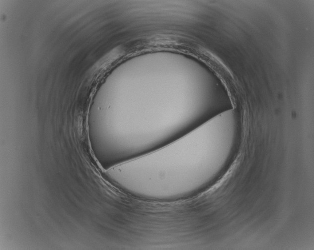 X0000068750777200604280926