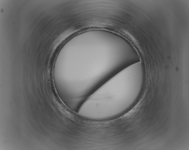 X0000068750779200604280925