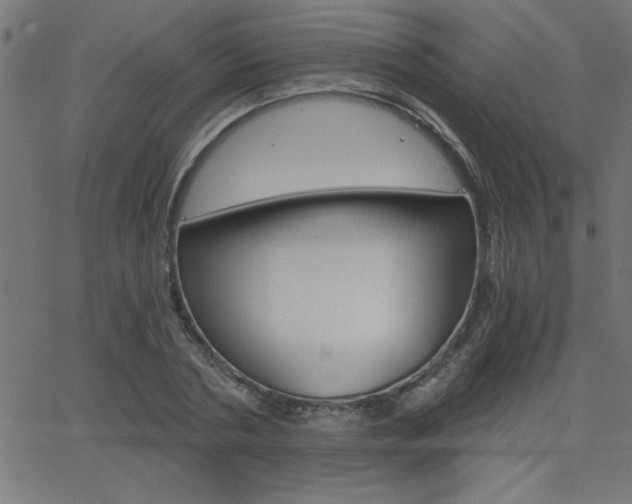 X0000068750786200604280925
