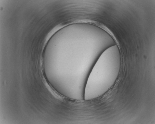 X0000068750811200604280925