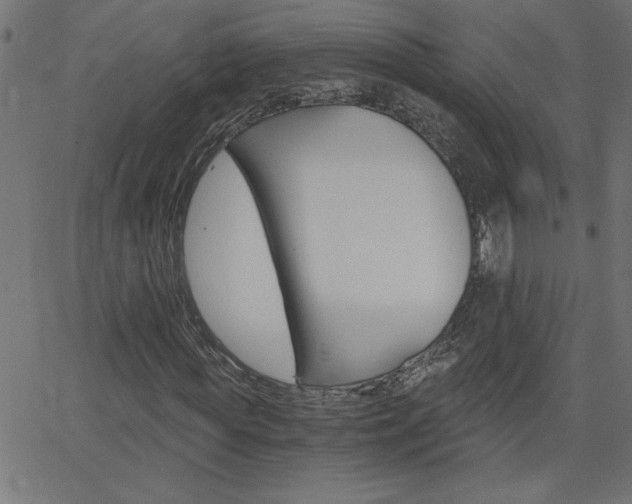 X0000068750819200604280924