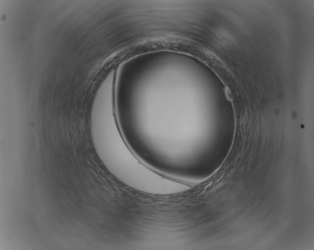 X0000068750822200604280924
