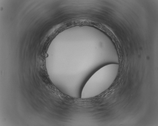 X0000068750823200604280924