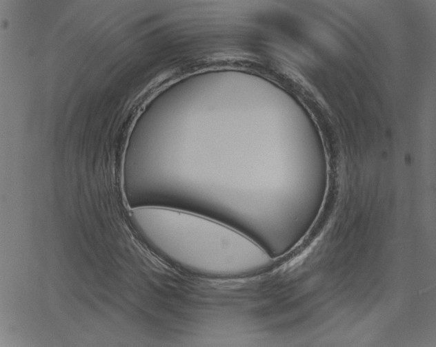 X0000068750825200604280924