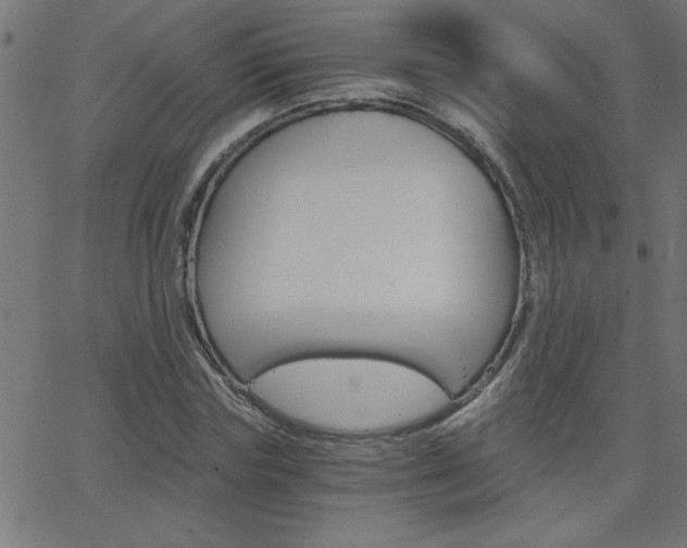 X0000068750827200604280924
