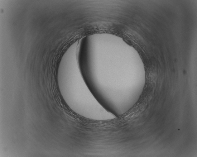 X0000068750865200604280924