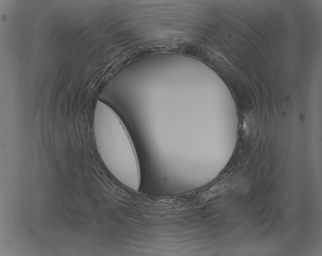 X0000068750867200604280924