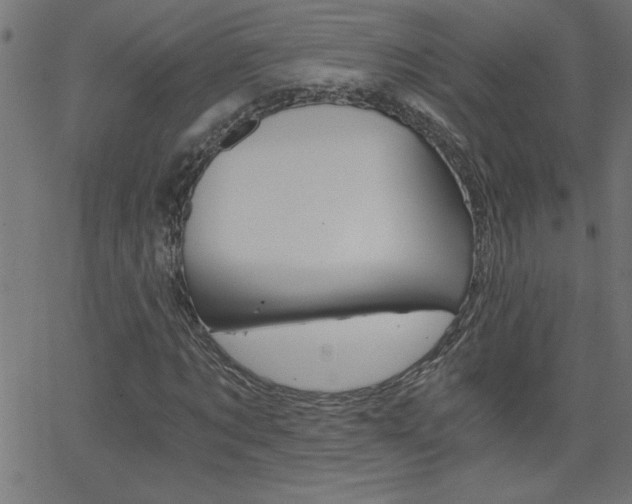 X0000068750869200604280924