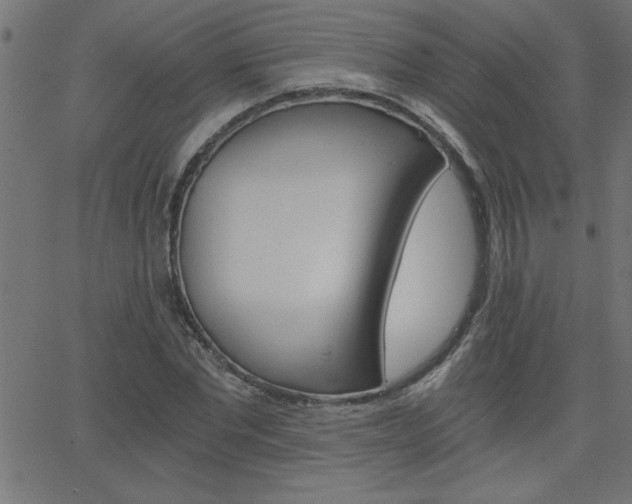 X0000068750877200604280924
