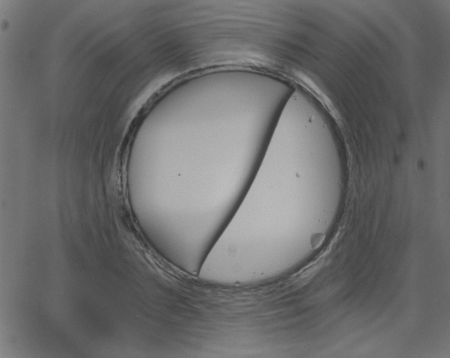 X0000068750883200604280924