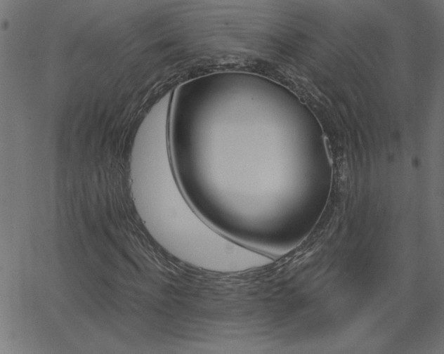 X0000068750916200604280922