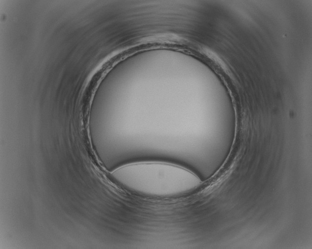 X0000068750923200604280923
