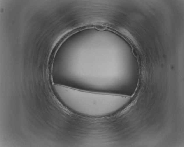 X0000068750924200604280923