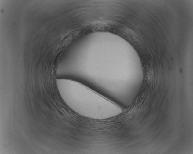 X0000068750964200604280922
