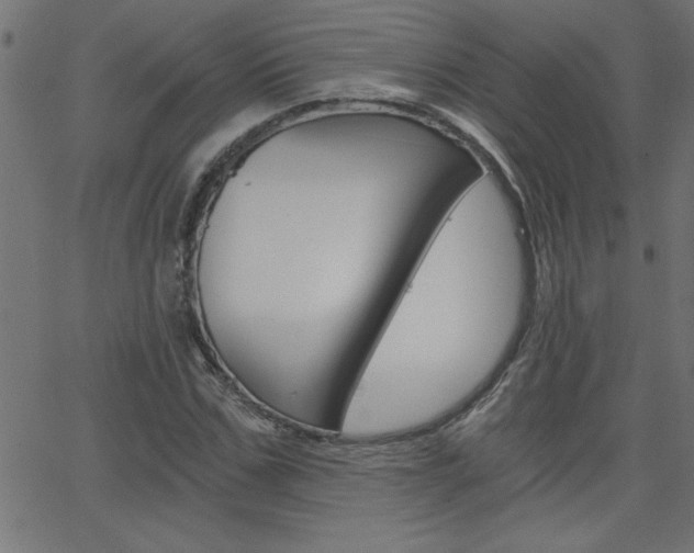 X0000068750971200604280922