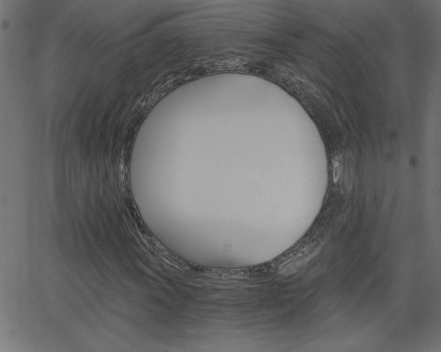 X0000068751011200604280921