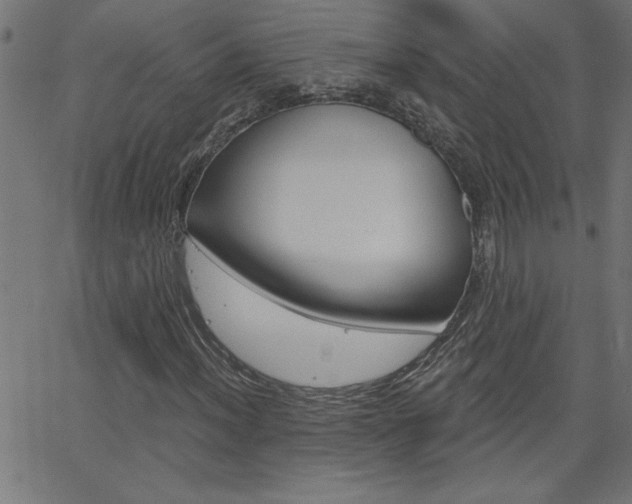 X0000068751012200604280921