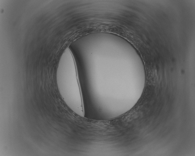 X0000068751013200604280921