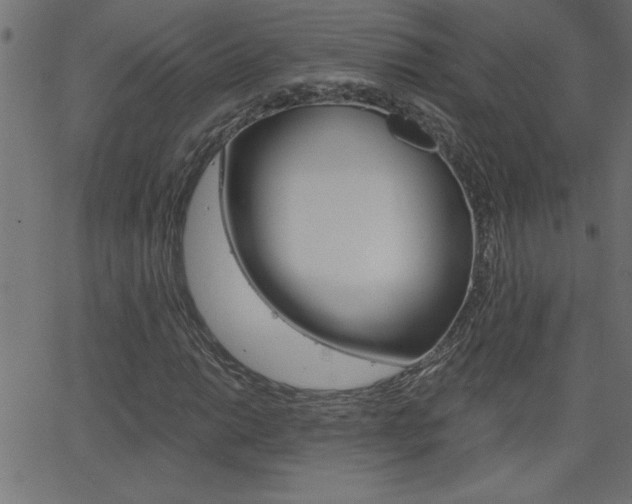 X0000068751014200604280921