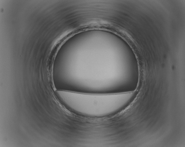 X0000068751018200604280921
