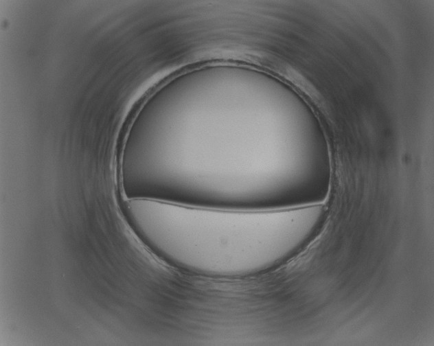 X0000068751028200604280921