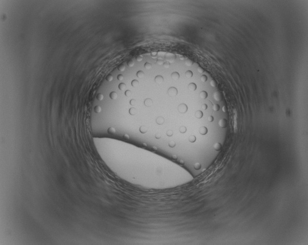 X0000068751059200604280921