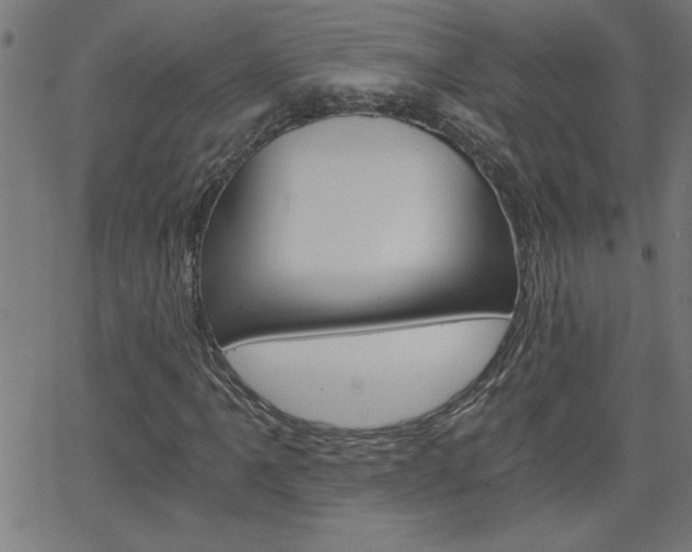 X0000068751061200604280921