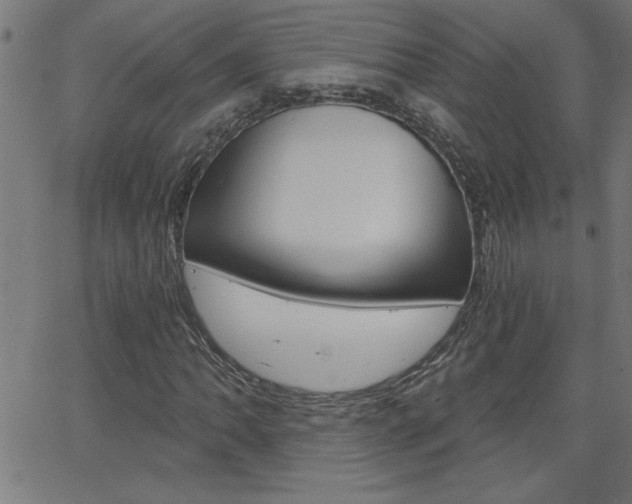 X0000068751062200604280921