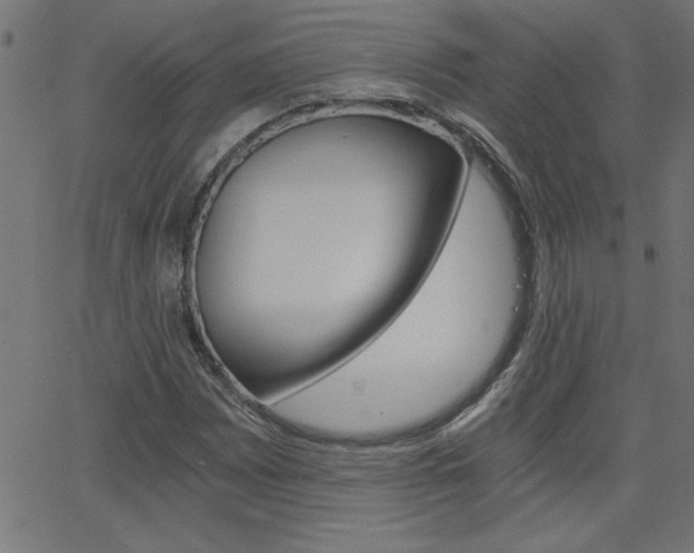 X0000068751065200604280921
